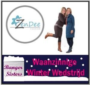 Waanzinnige Winter Wedstrijd - 1 Zendee