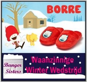 Waanzinnige Winter Wedstrijd - 13 Borre