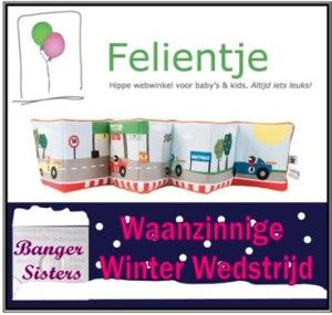 Waanzinnige Winter Wedstrijd - 15 Felientje