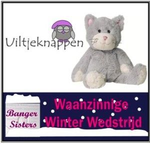 Waanzinnige Winter Wedstrijd - 21 Uiltje knappen