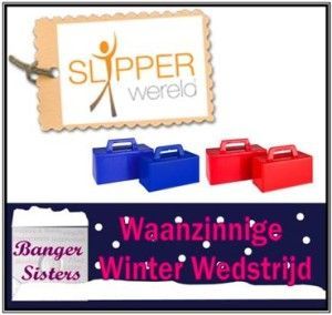 Waanzinnige Winter Wedstrijd - 30 Slipperwereld