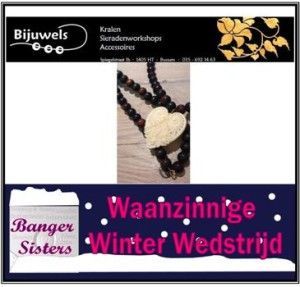 Waanzinnige Winter Wedstrijd - 7 Bijuwels