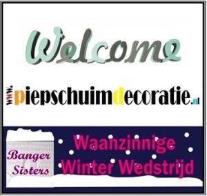 Waanzinnige Winter Wedstrijd - 9 Piepschuimdecoratie