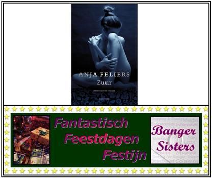 5. Fantastisch Feestdagen Festijn- Win Zuur van Anja Feliers!