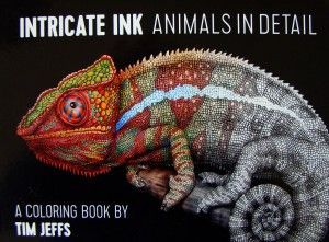 Daan Creaties- Animals in Detail – Tim Jeffs