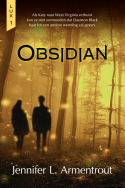 9789401913706-obsidian-m-lq-f
